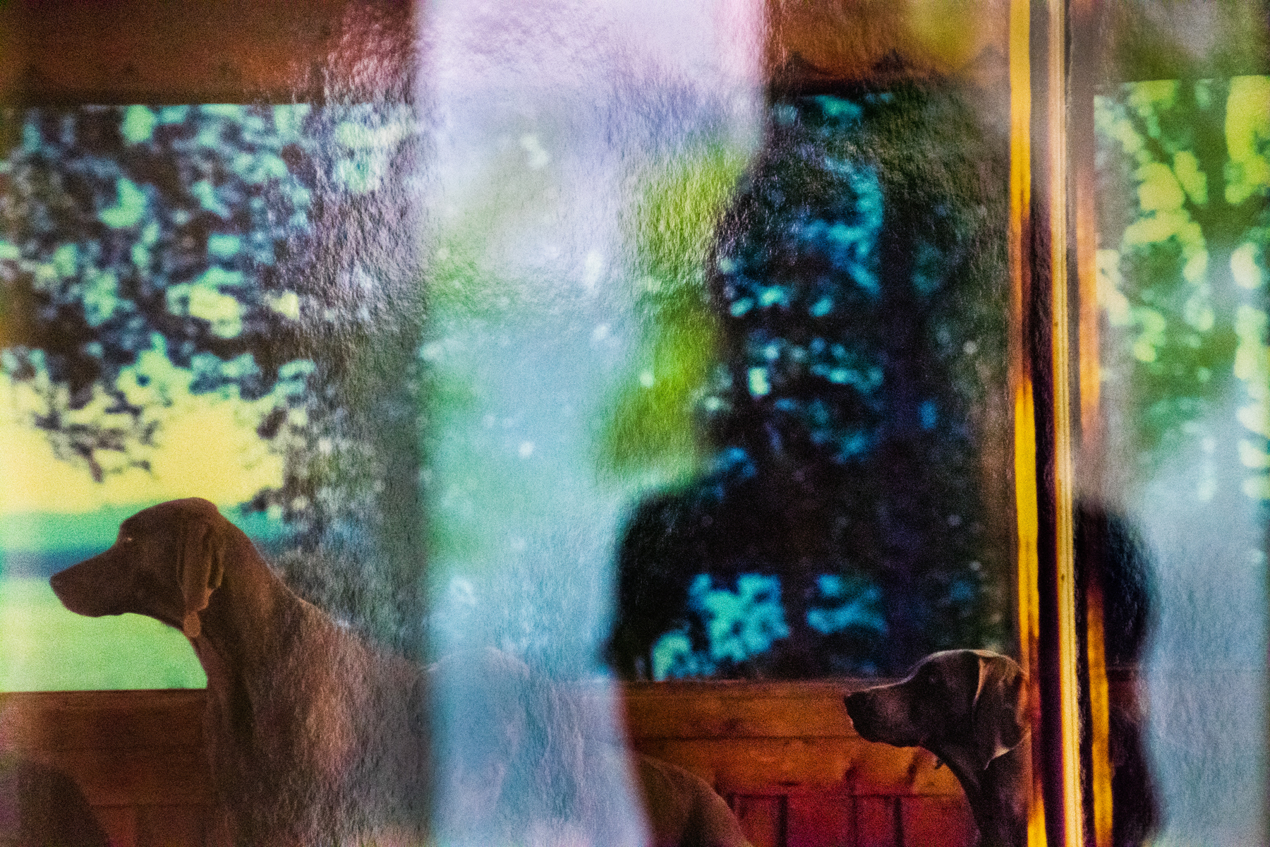 Upon Reflection Photographs by Judy Glickman Lauder Howard Greenberg Gallery 2017