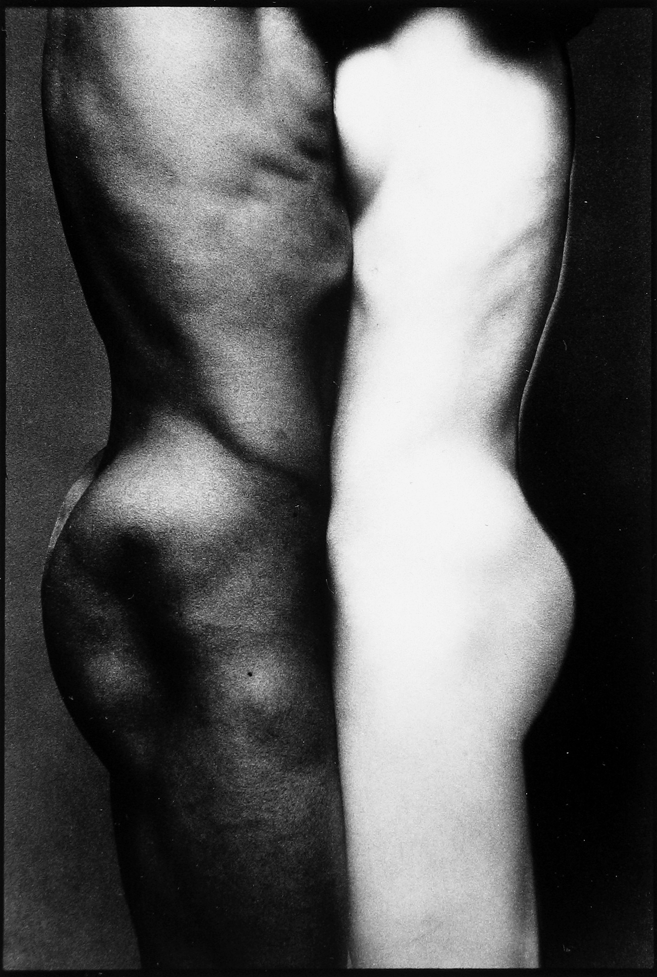 Photo Libris: Important Books and Photographs 2006 howard greenberg gallery