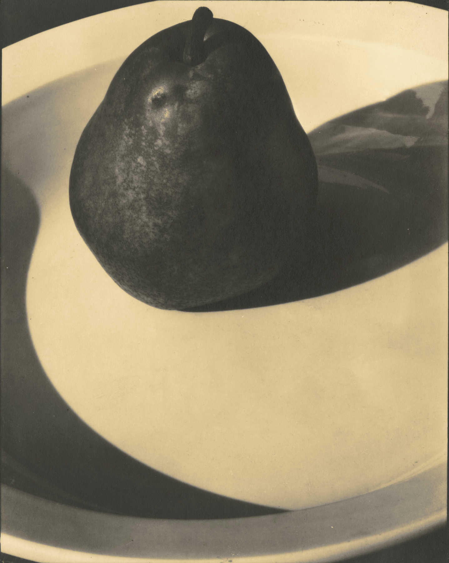 Edward Steichen: 1915-1923 2009 Howard Greenberg Gallery