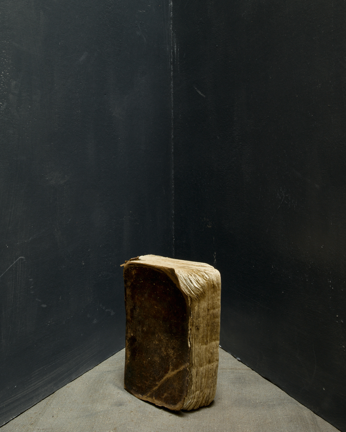 Joel Meyerowitz: Morandi, Cézanne, and Me, Howard Greenberg Gallery, 2017