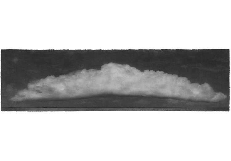 Jungjin Lee: Recent Projects - Works from Everglades - Howard Greenberg Gallery - 2015