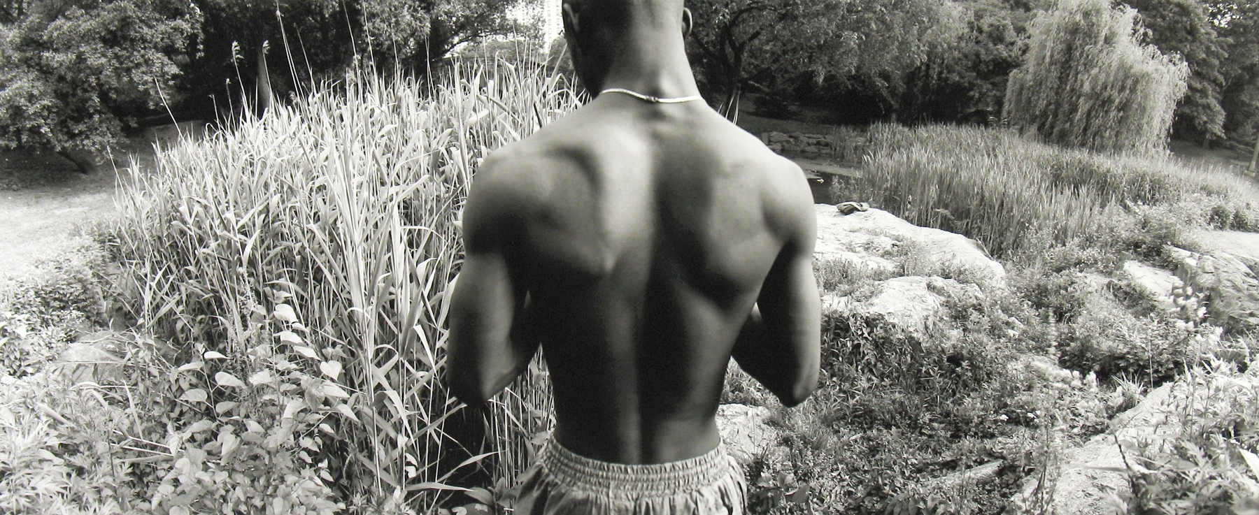 Bruce Davidson, Central Park, 1992, Howard Greenberg Gallery, 2019