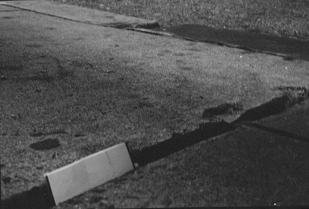 mark cohen low ideas