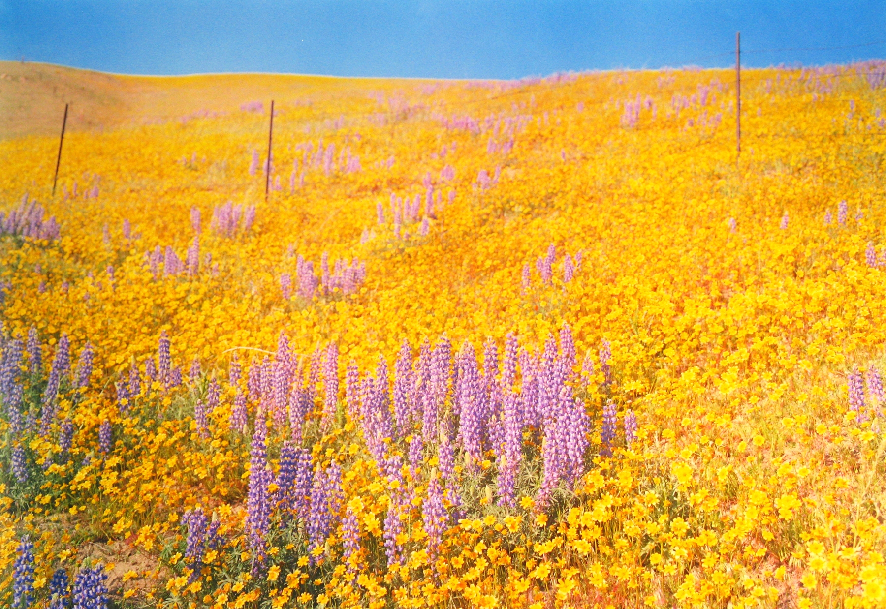 Selections From Private Collections, Main Gallery