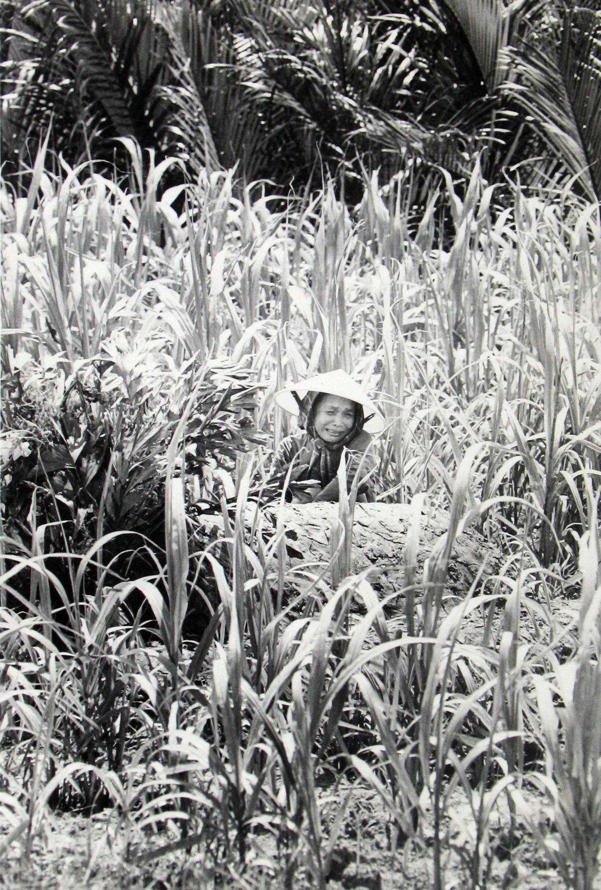 Philip Jones Griffiths: Maelstrom, Main Gallery