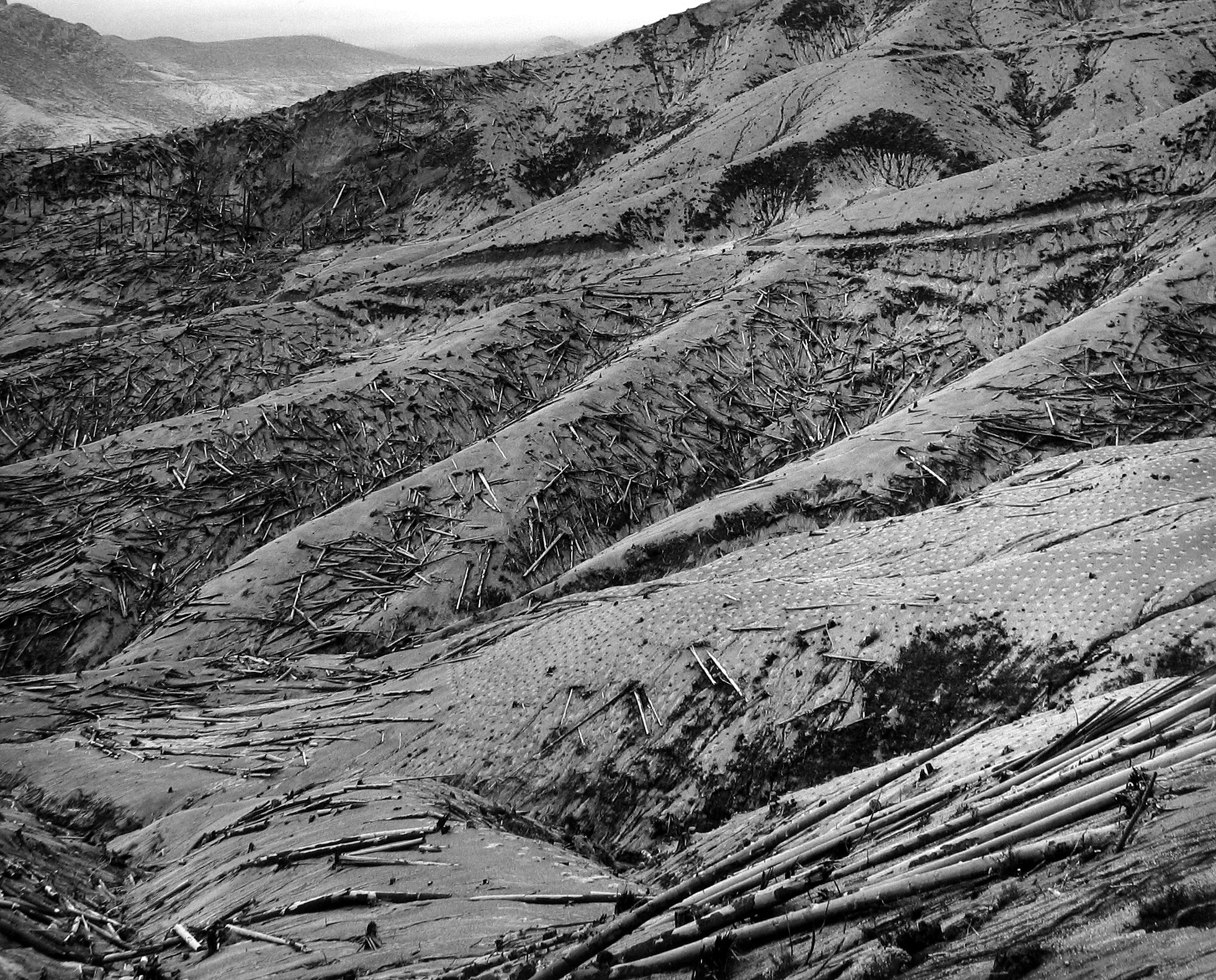 Frank Gohlke: Mount St. Helens, South Gallery