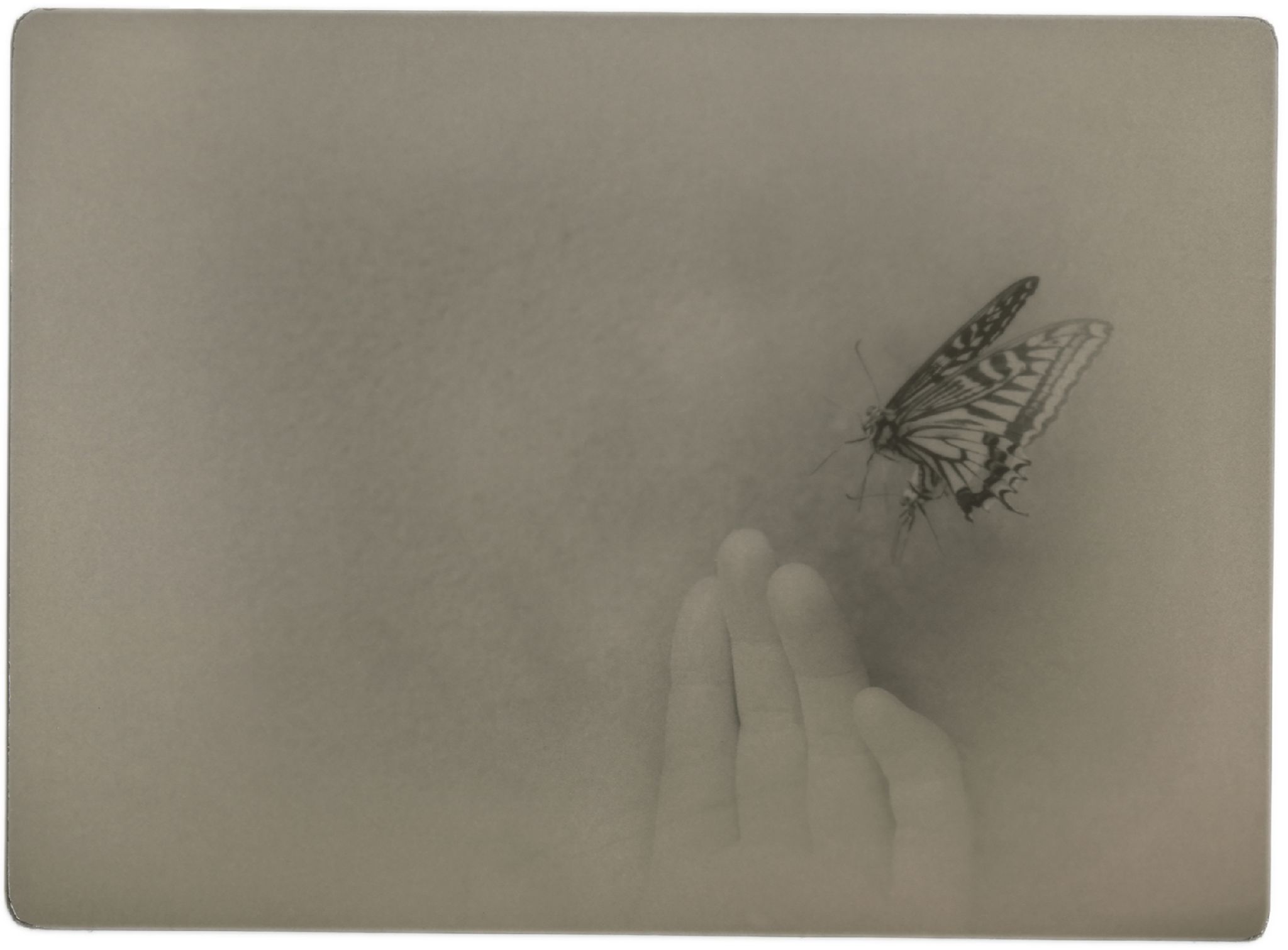 Miho Kajioka, BK0627, 2020