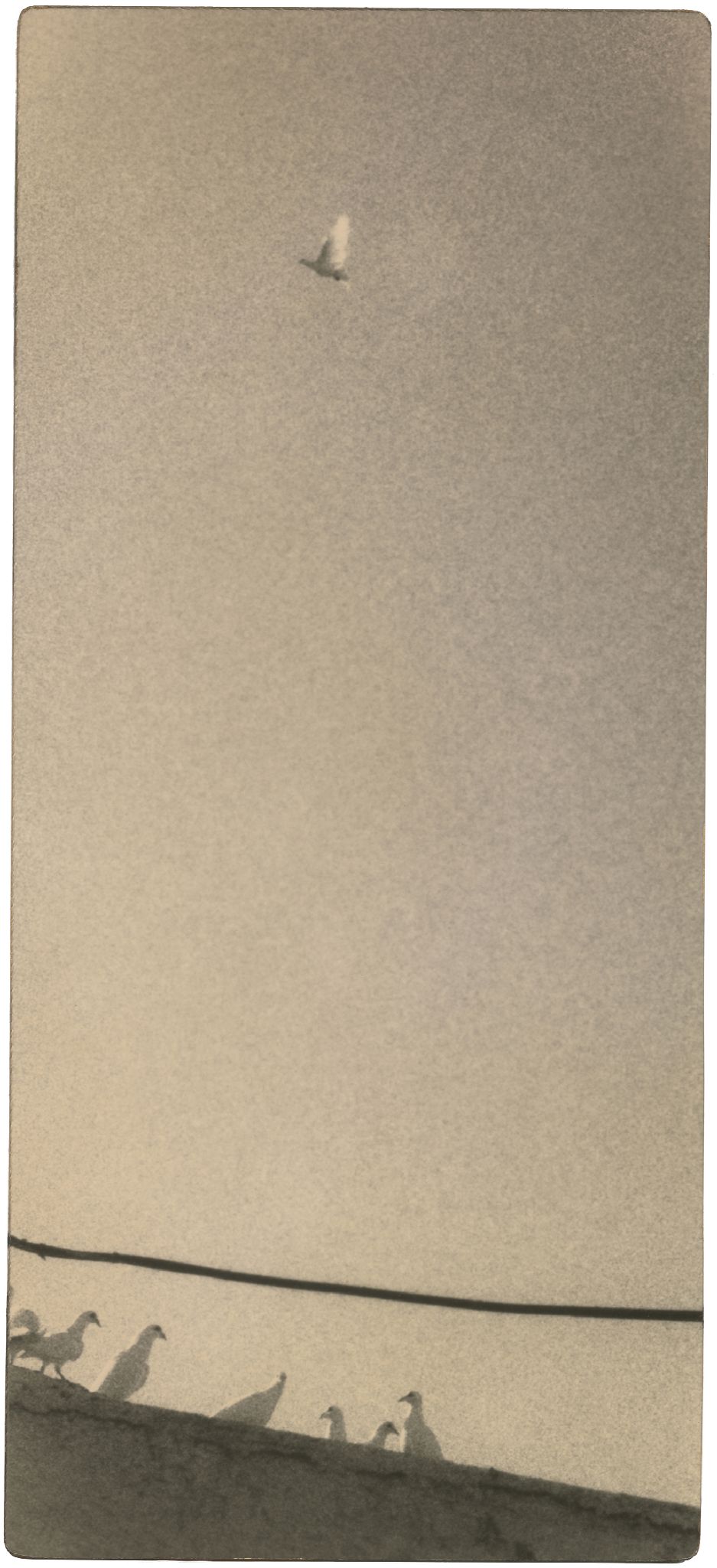 Miho Kajioka, BK0601, 2020