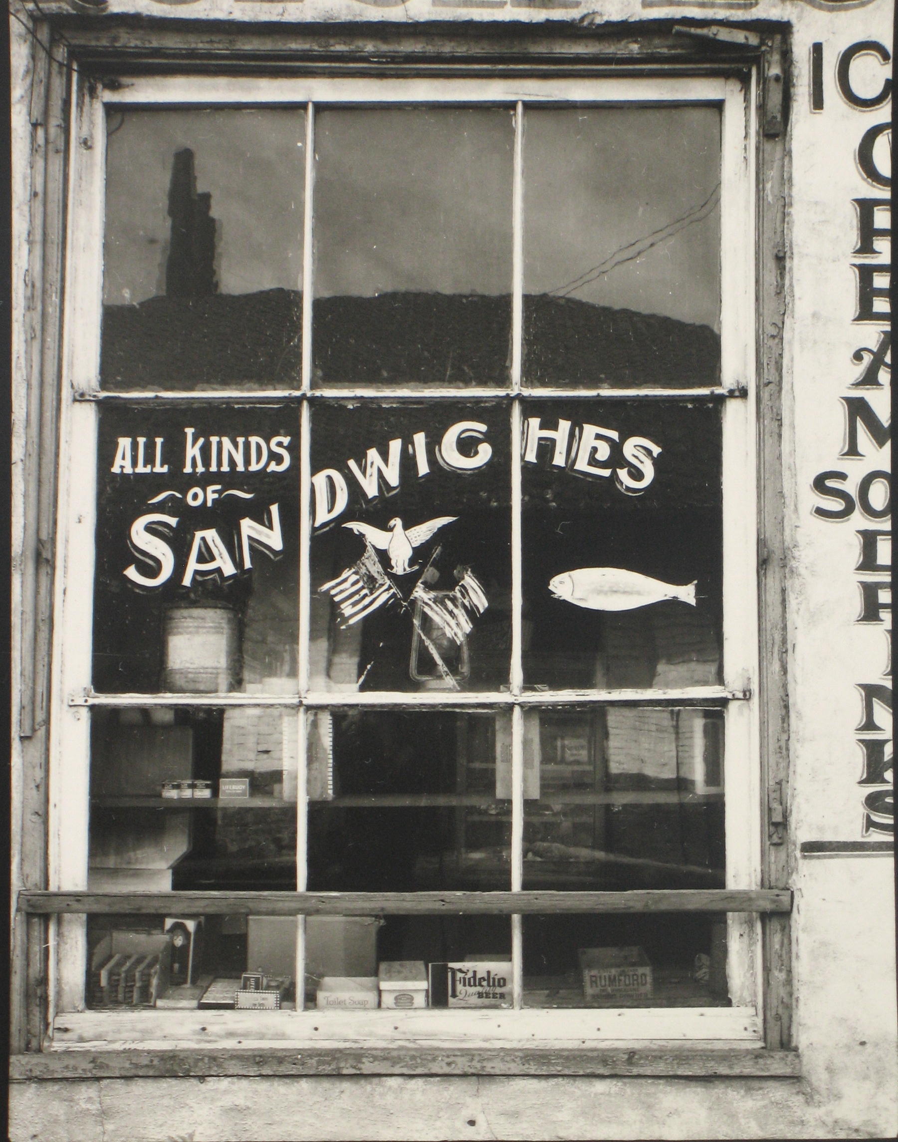 Peter Sekaer: An Untold Story, Main Gallery