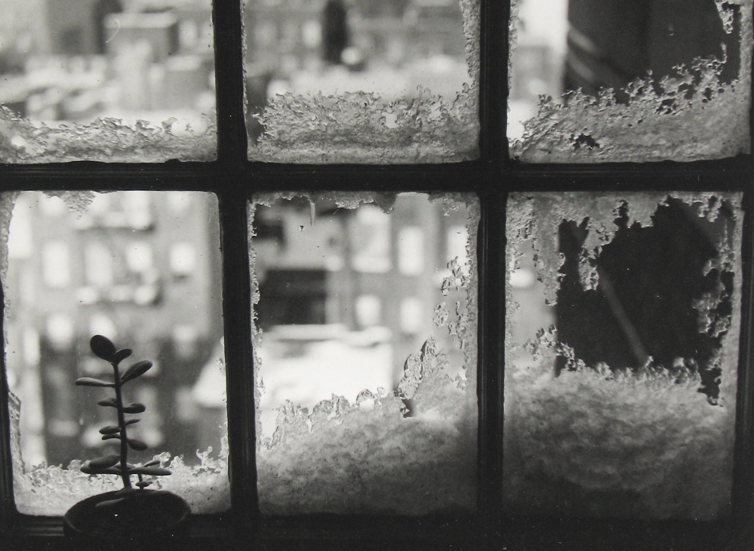 Staff Picks IV, Main Gallery