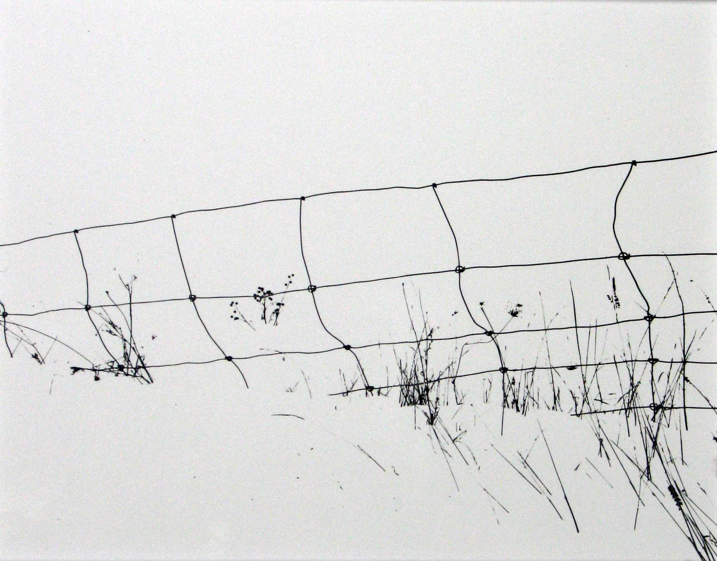 Staff Picks 2010, Main Gallery