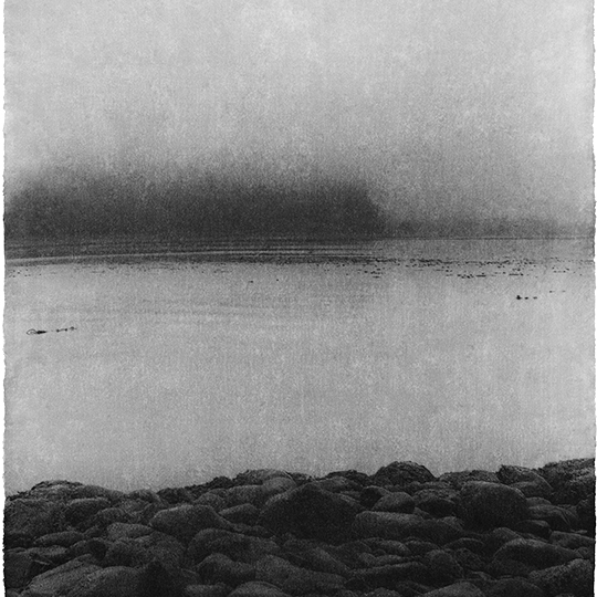 Jungjin Lee: Opening, Main Gallery