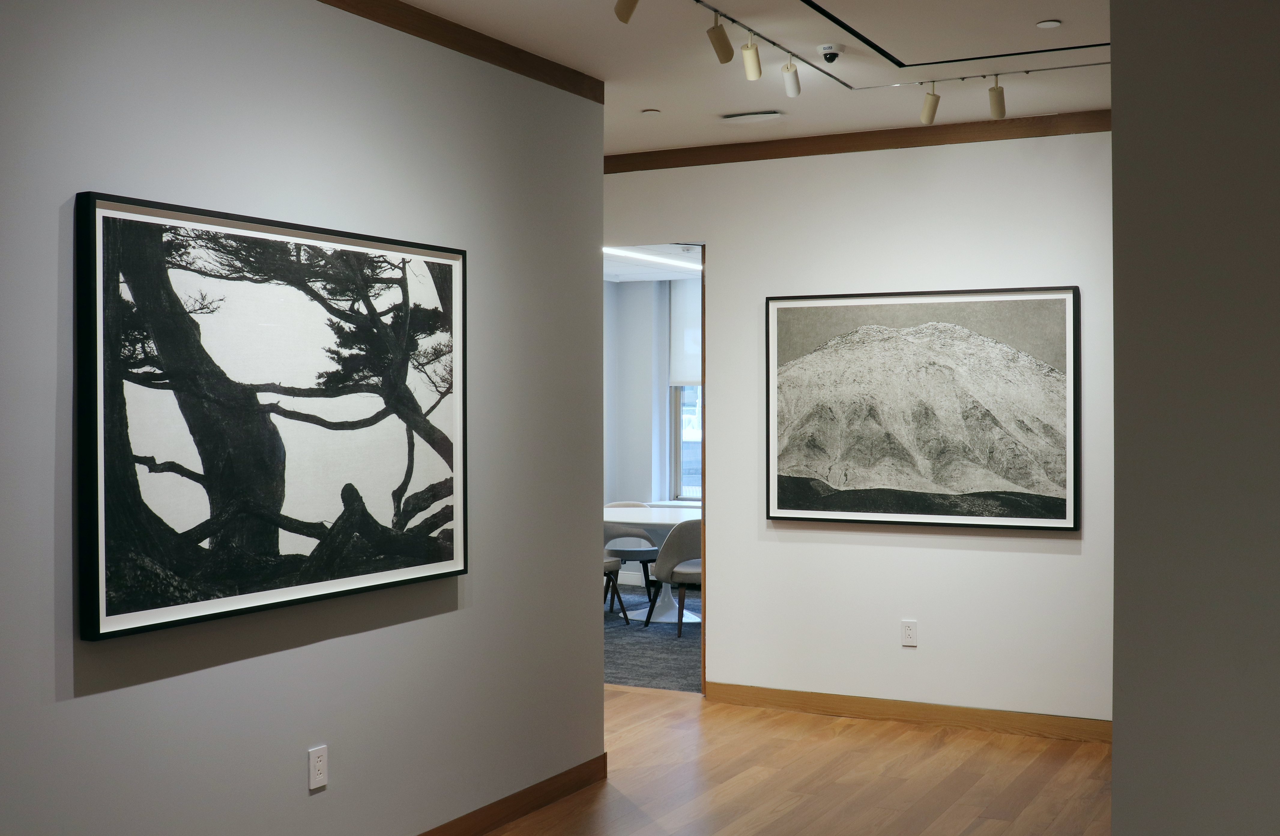 Jungjin Lee installation view howard greenberg gallery