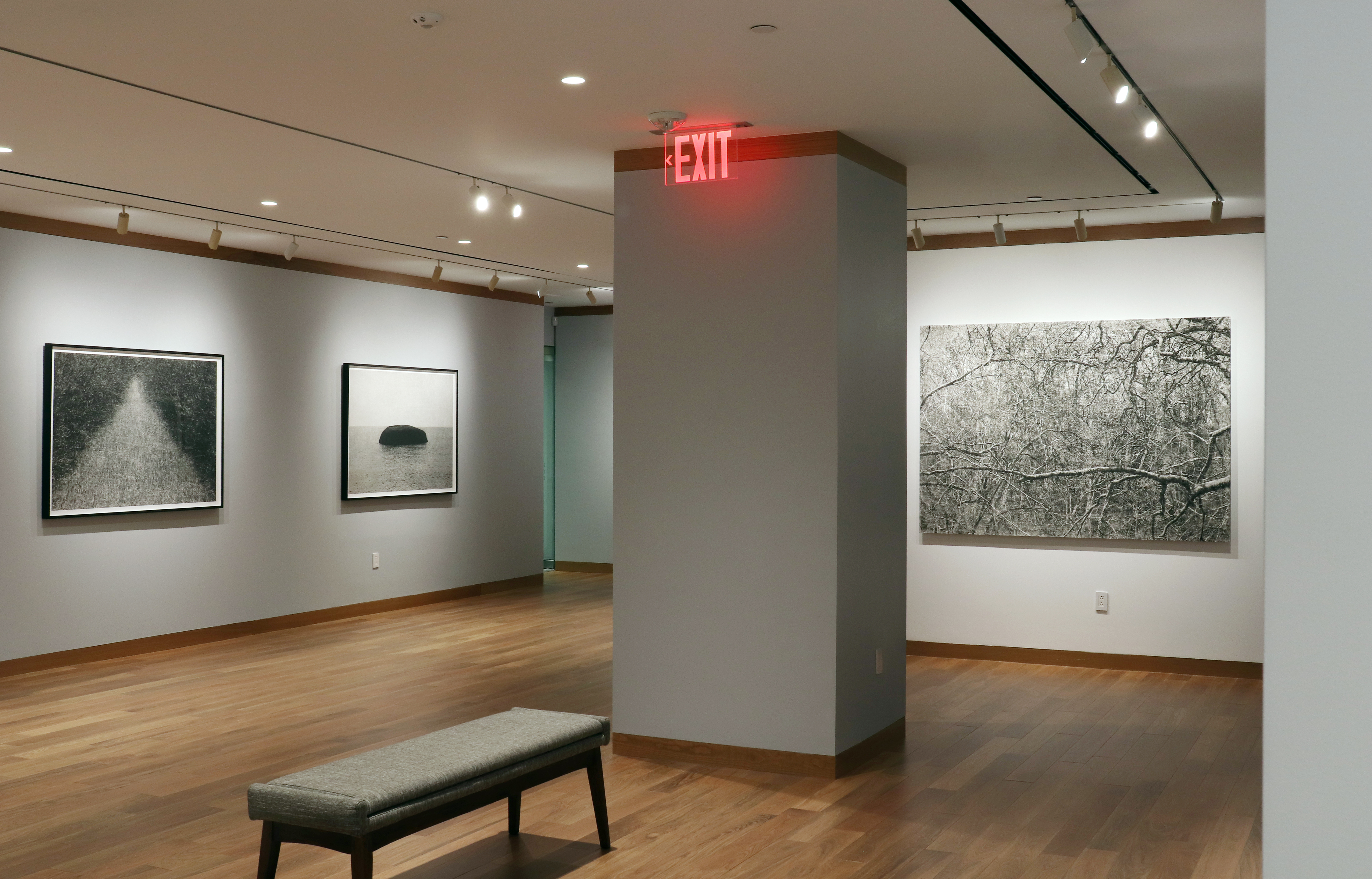 Jungjin Lee installation view howard greenberg gallery