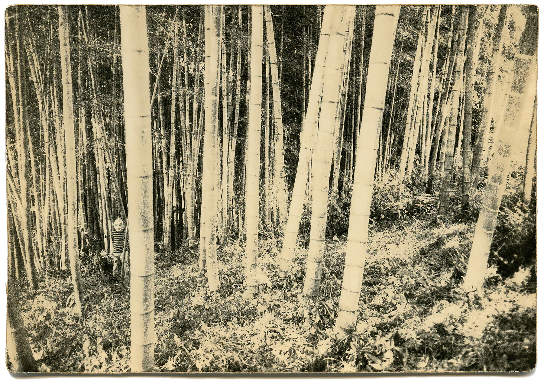 miho kajioka viewing room howard greenberg gallery 2023