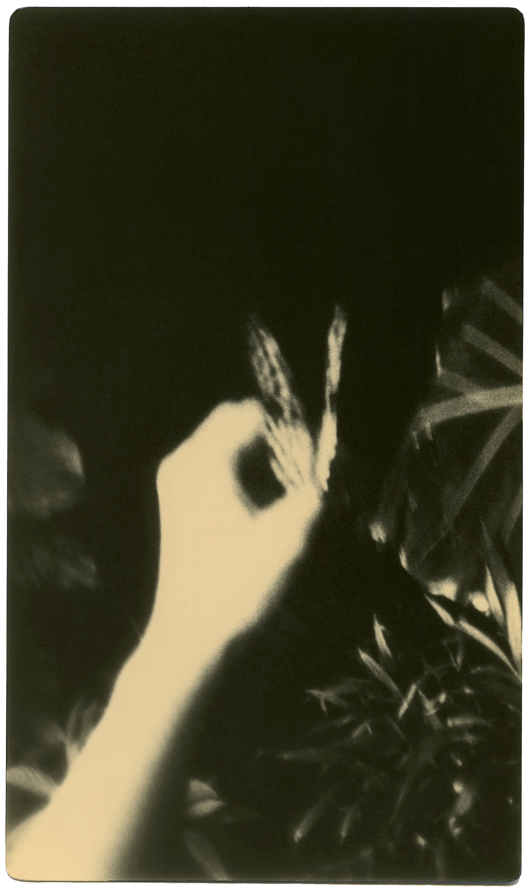 miho kajioka howard greenberg gallery 2023