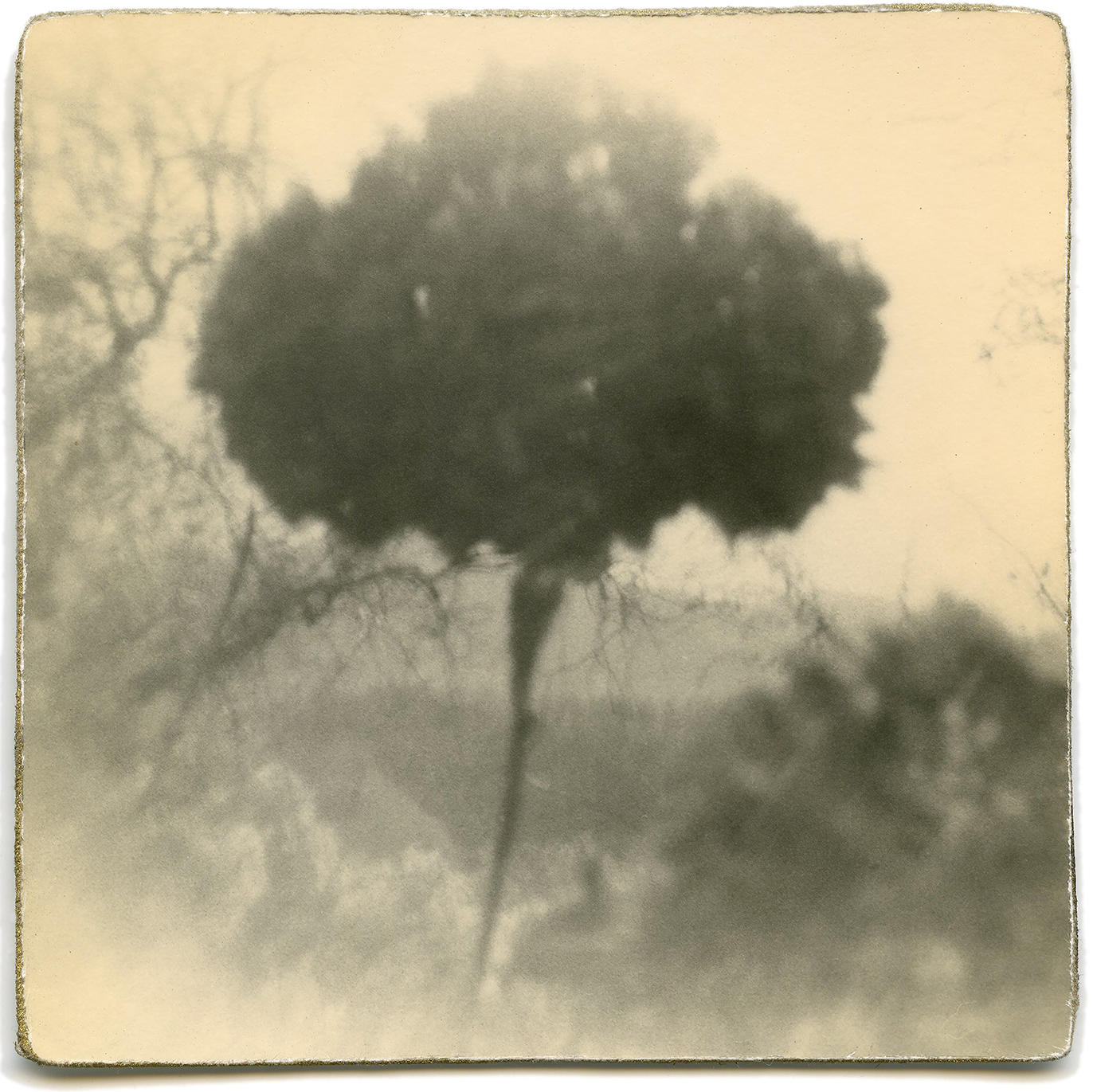 miho kajioka howard greenberg gallery 2023