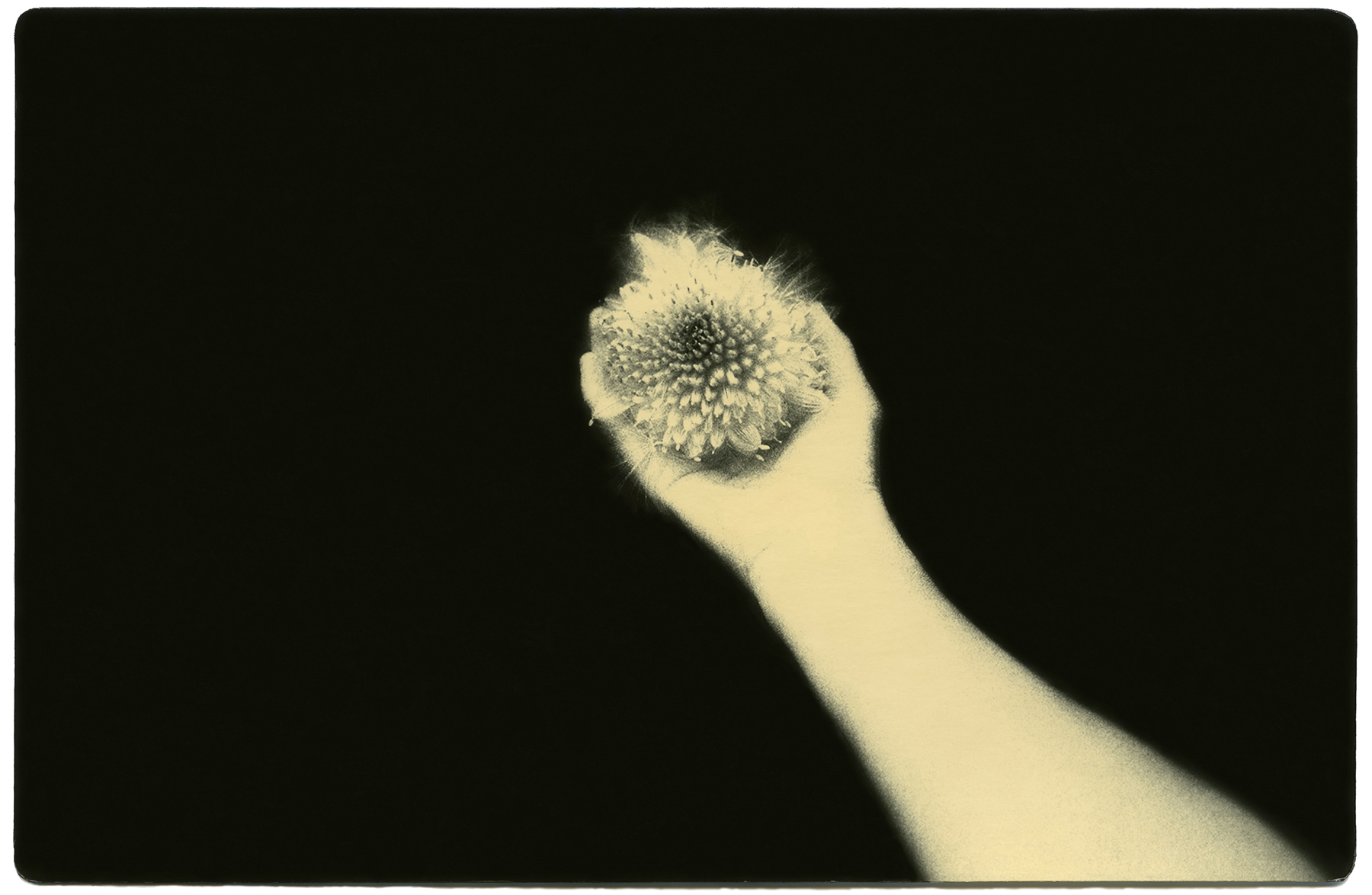 miho kajioka howard greenberg 2023