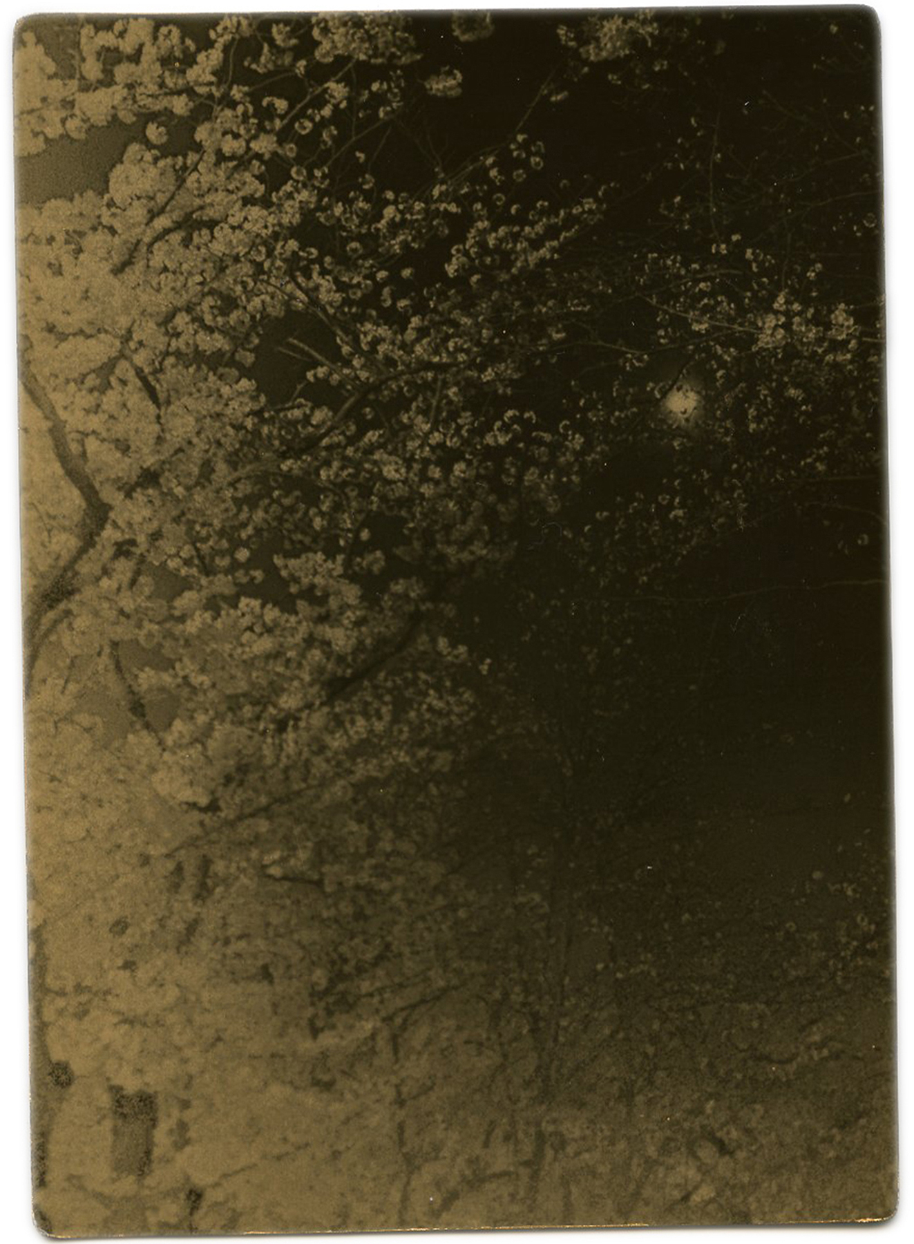 miho kajioka howard greenberg gallery 2023