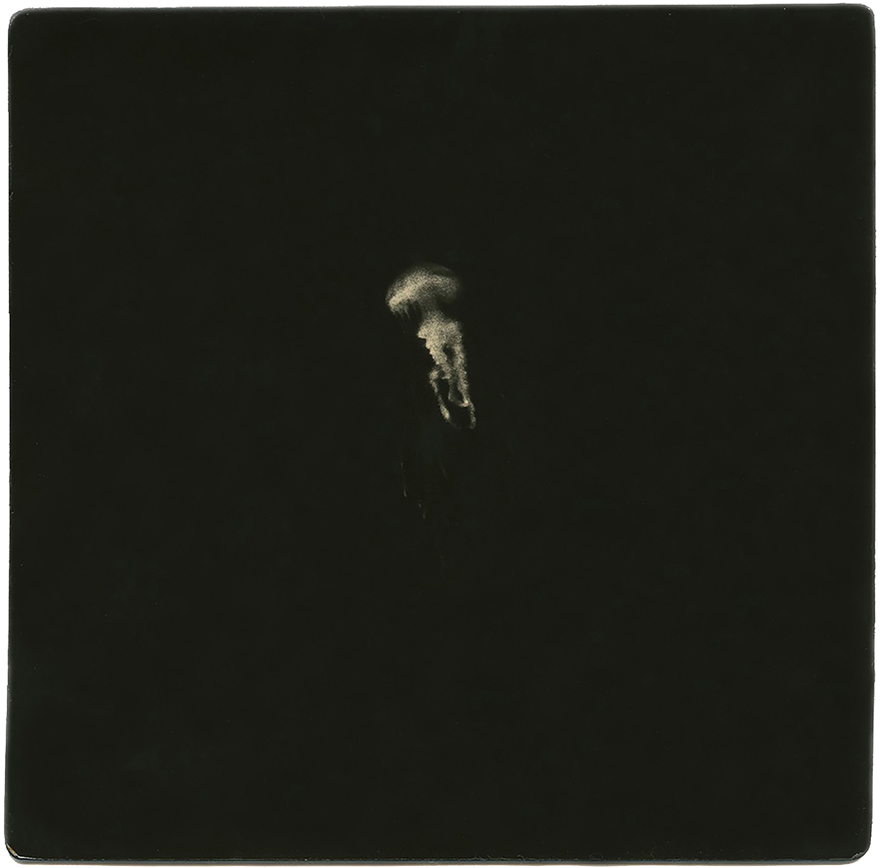 miho kajioka howard greenberg gallery 2023