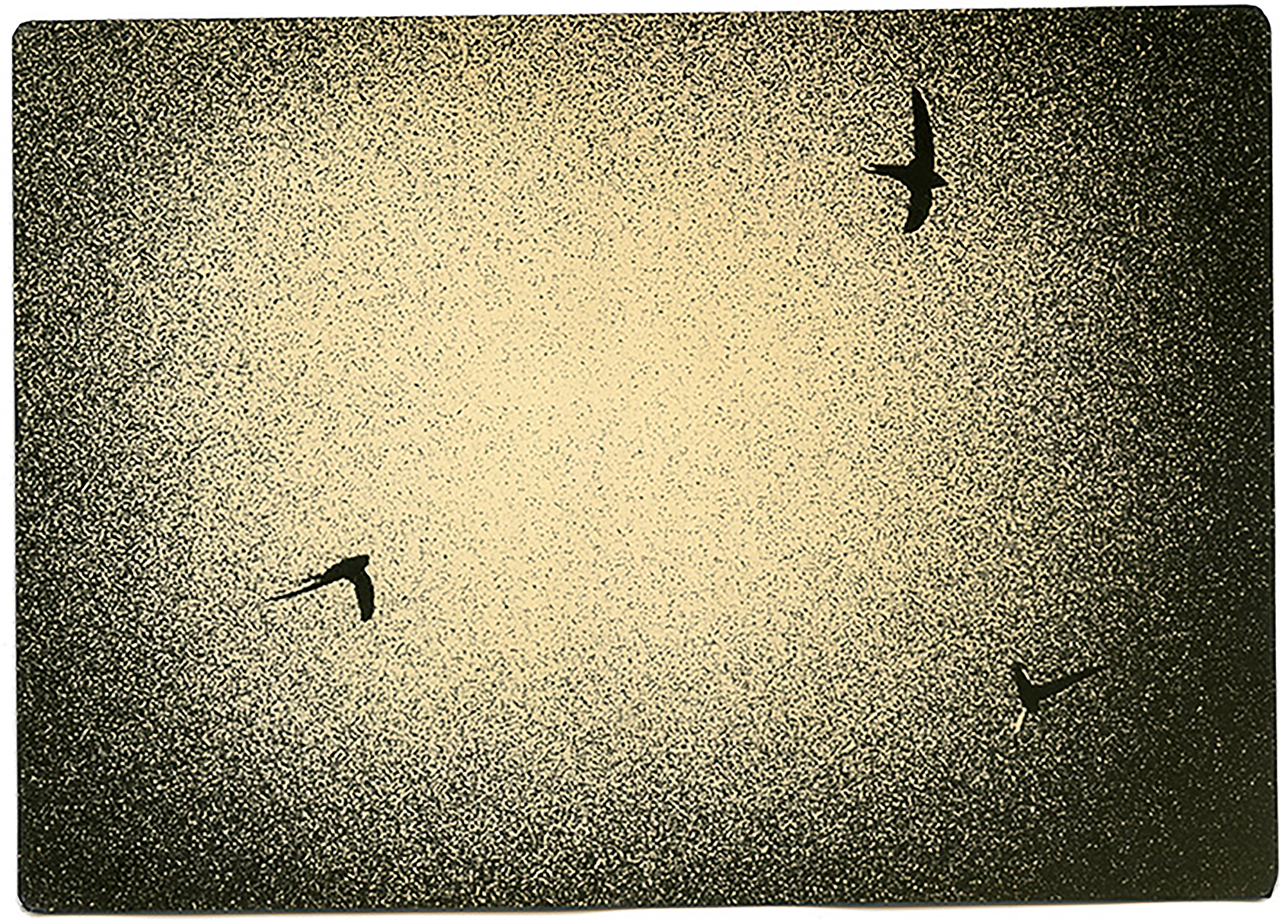 miho kajioka howard greenberg gallery 2023