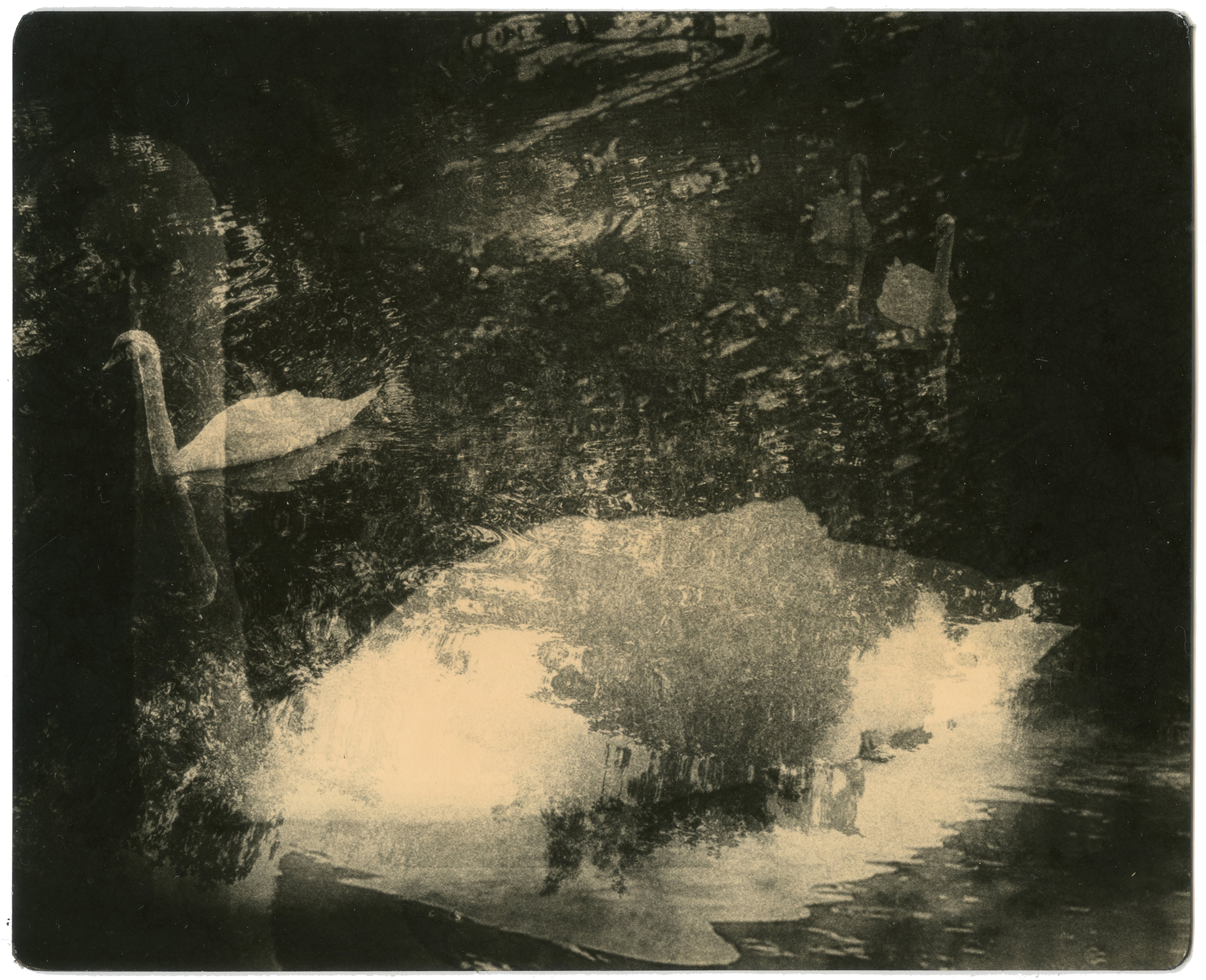 miho kajioka howard greenberg gallery 2023