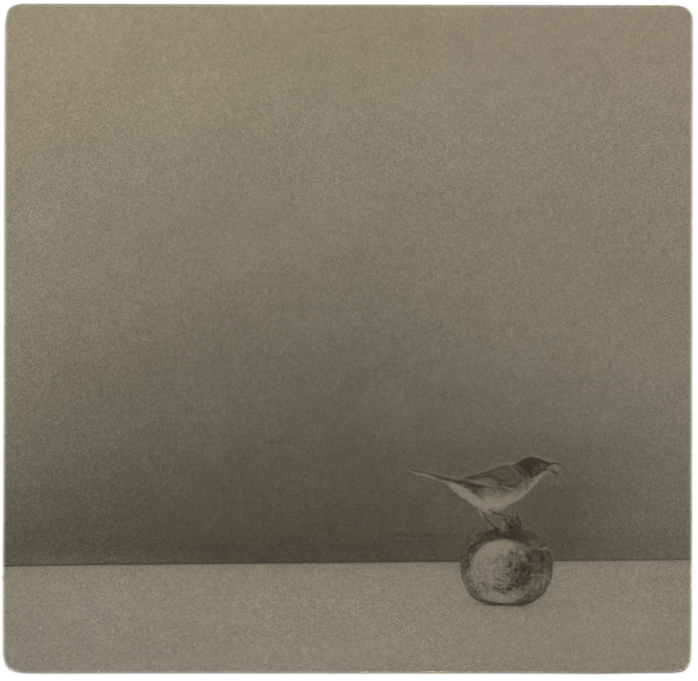 miho kajioka howard greenberg gallery 2023