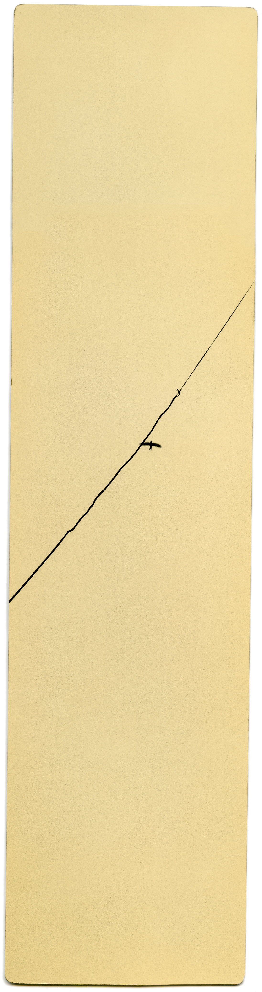 miho kajioka howard greenberg gallery 2023