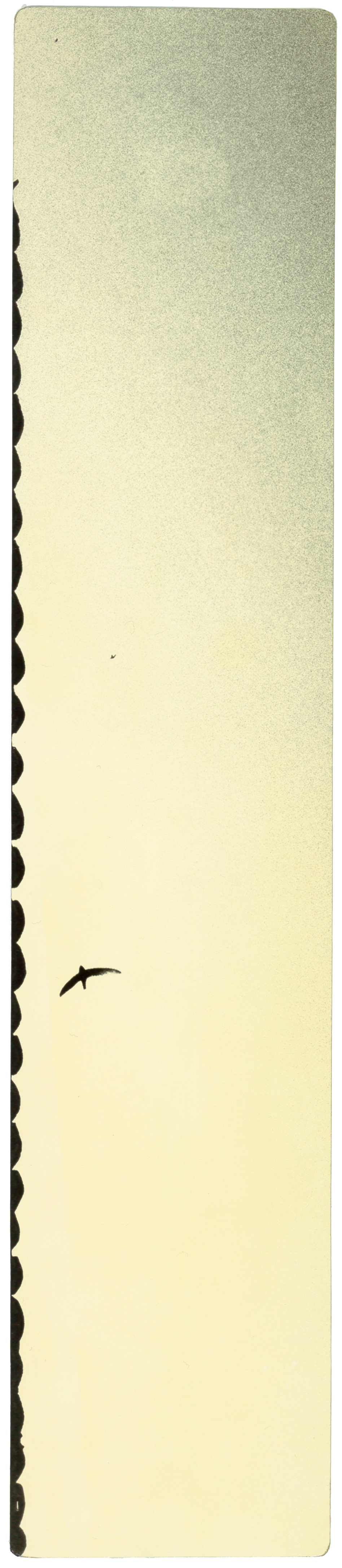 miho kajioka howard greenberg gallery 2023