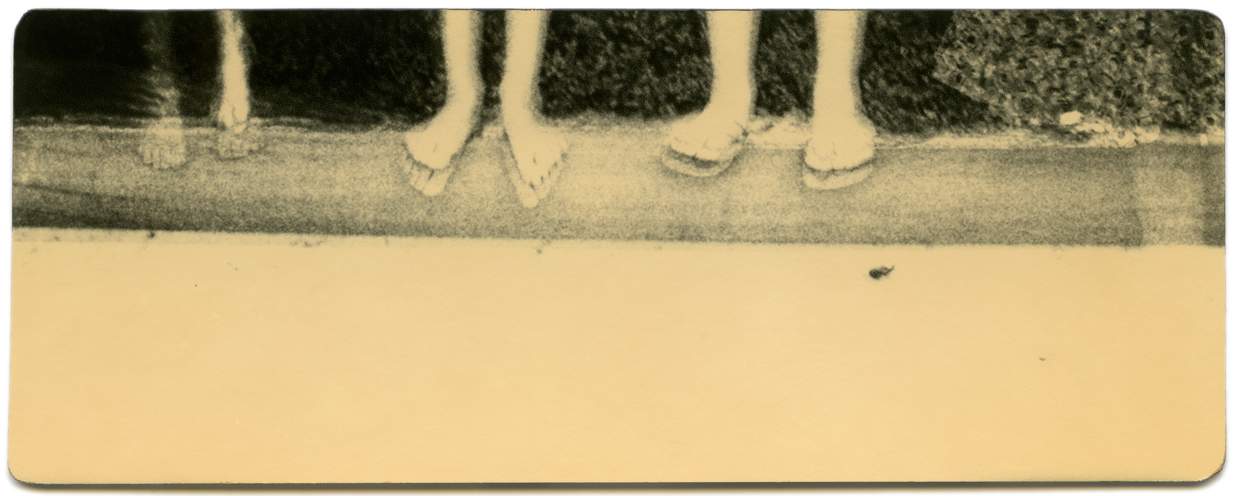 miho kajioka howard greenberg gallery 2023