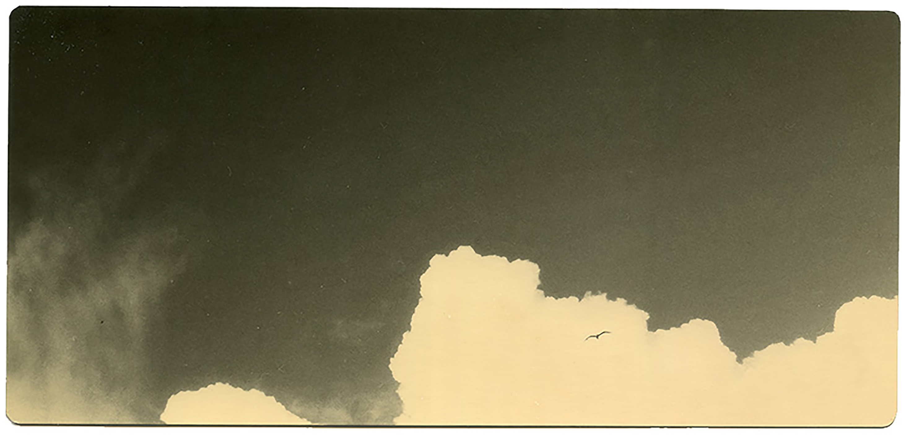 miho kajioka howard greenberg gallery 2023