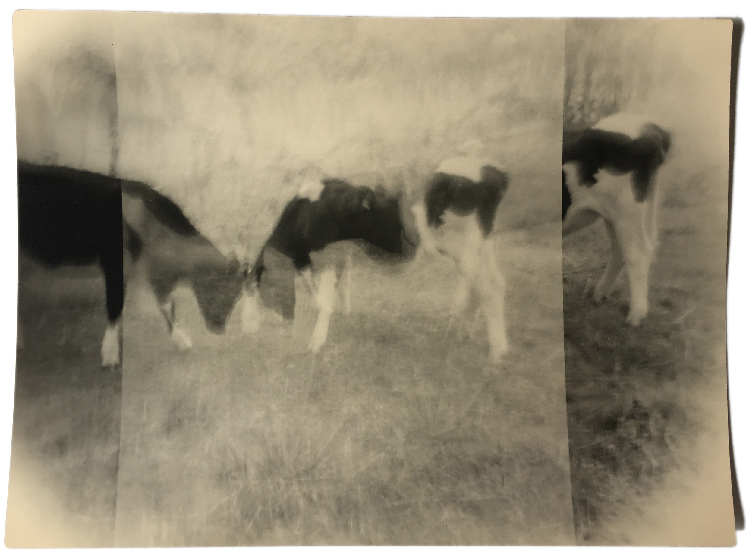 miho kajioka howard greenberg gallery 2023