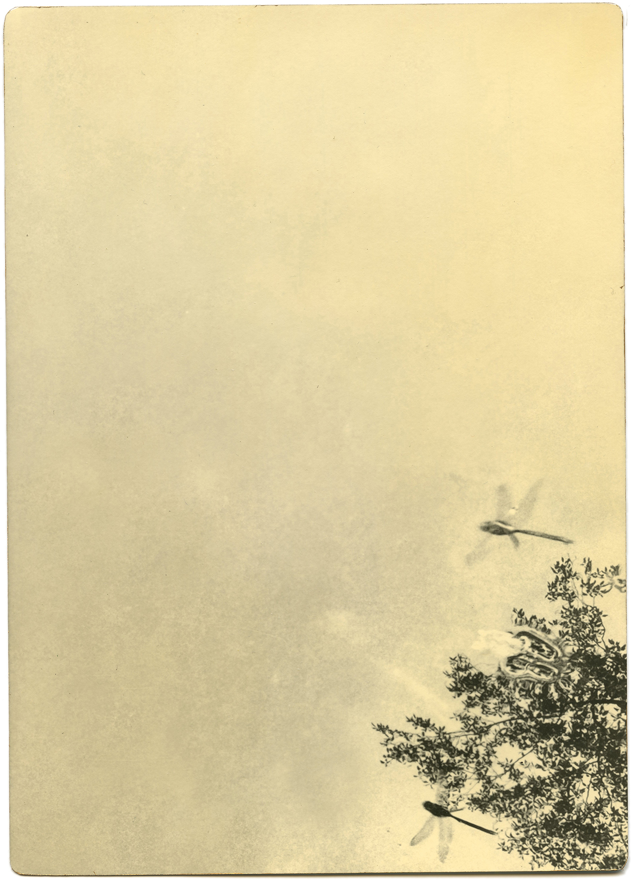 miho kajioka howard greenberg gallery 2023