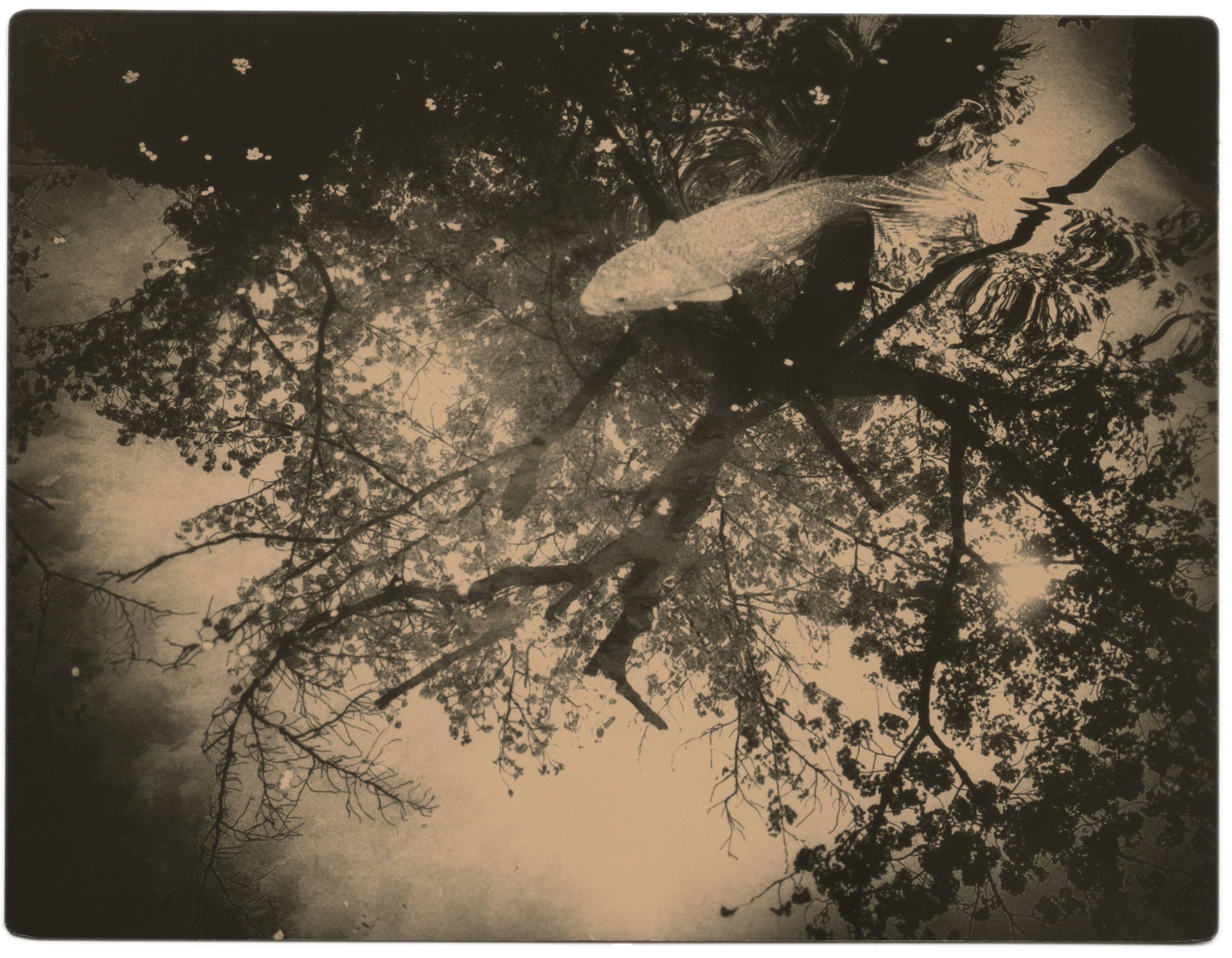 miho kajioka howard greenberg gallery 2023