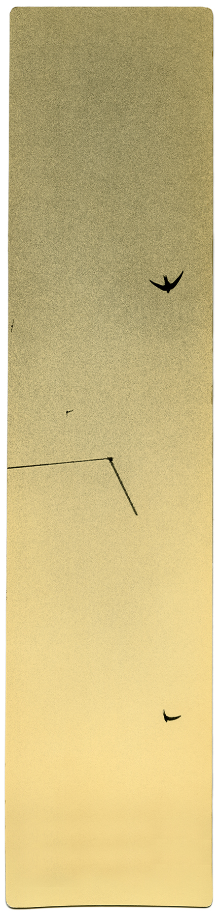 miho kajioka howard greenberg gallery 2023