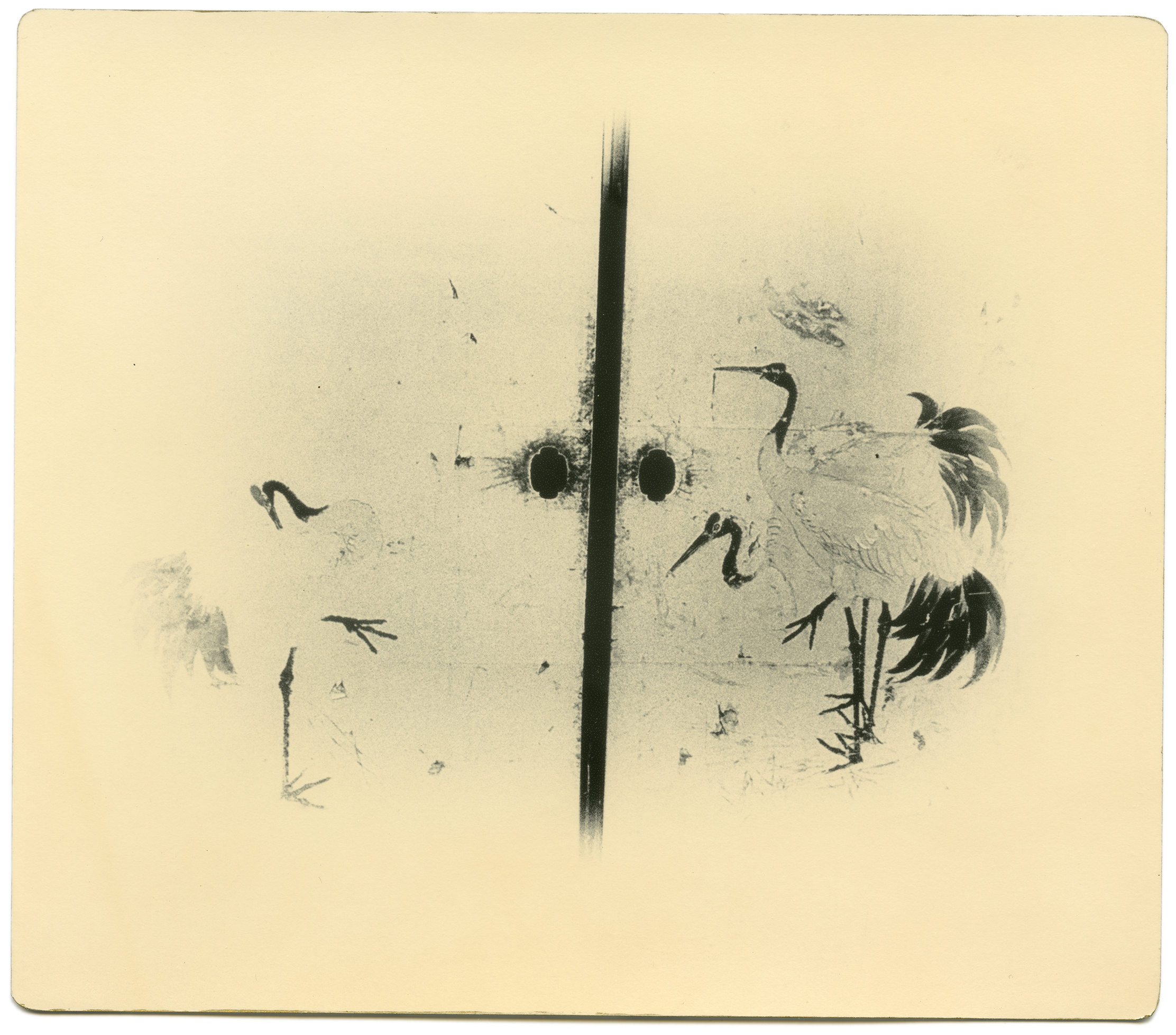 miho kajioka howard greenberg gallery 2023