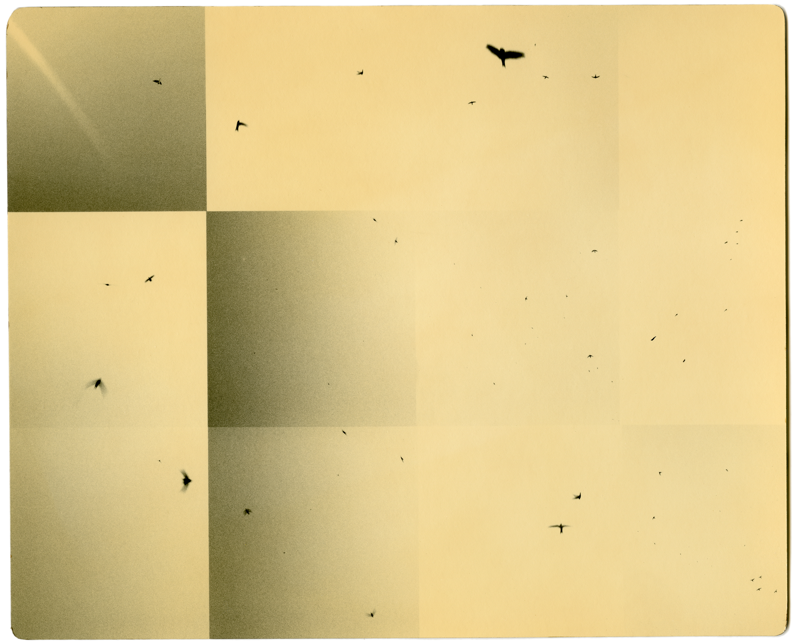 miho kajioka howard greenberg gallery 2023