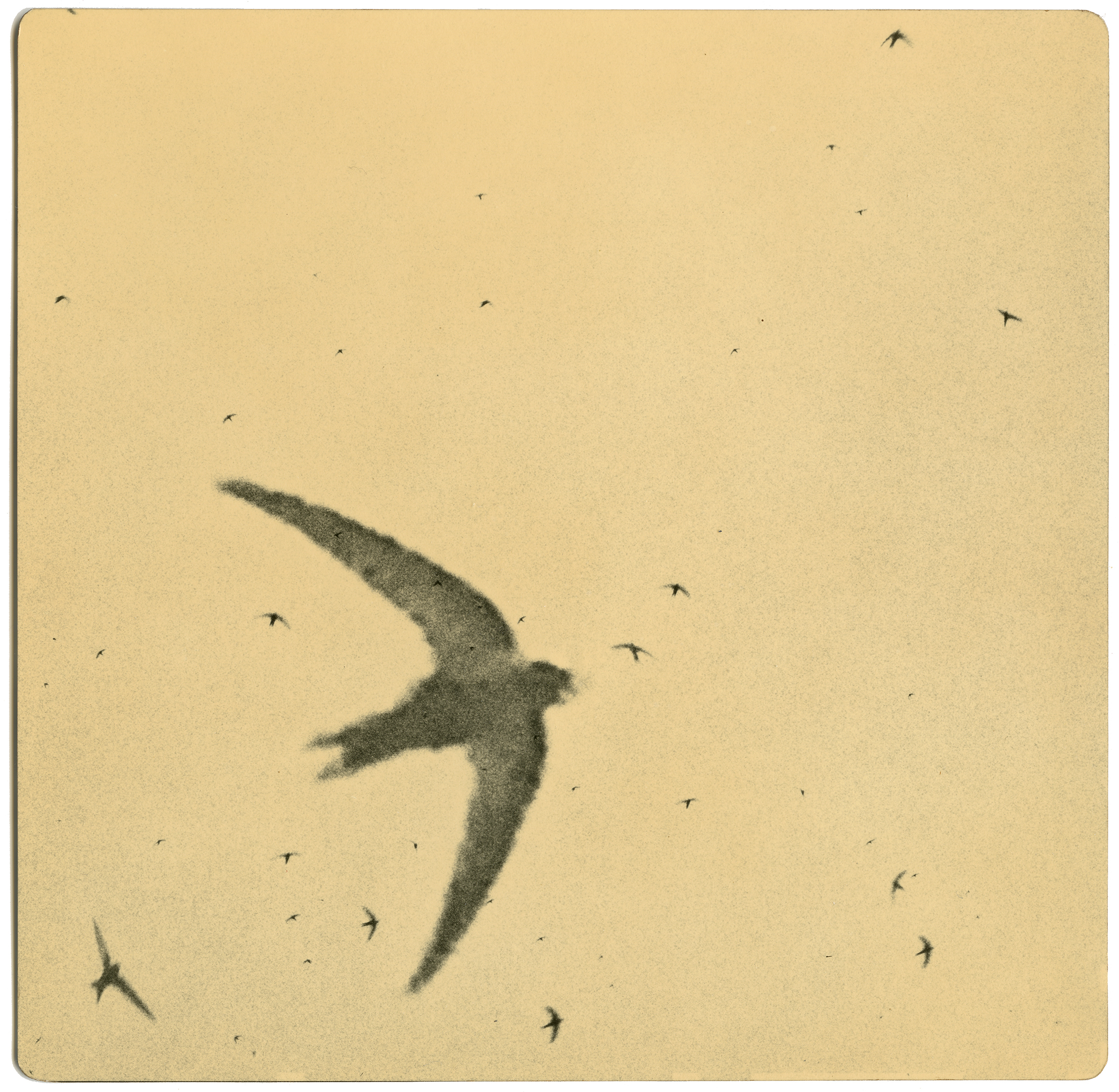 miho kajioka howard greenberg gallery 2023