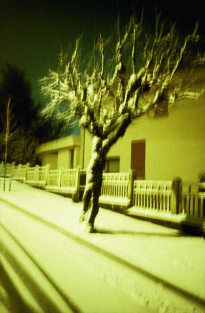 Dolorès Marat, L’arbre qui marche, 1995