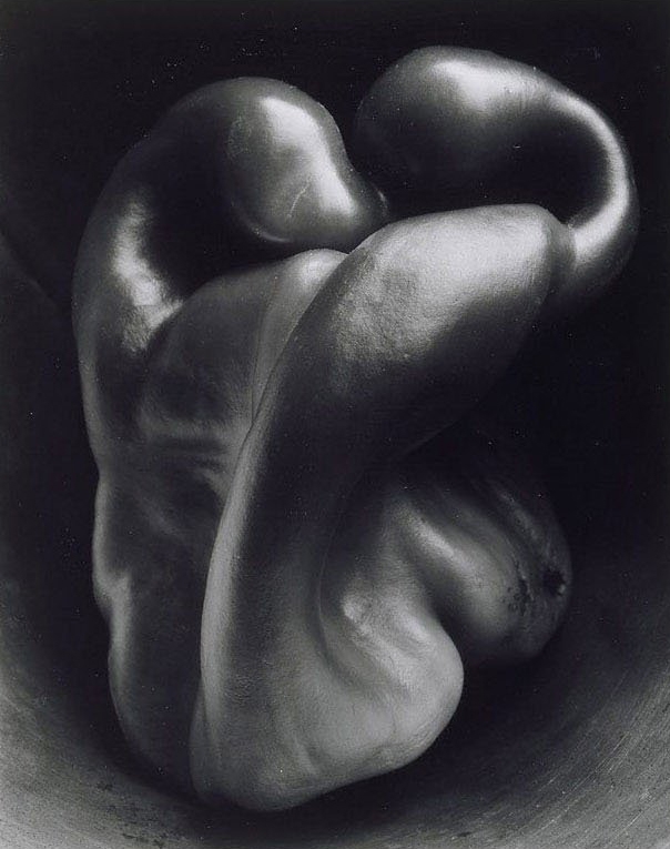 Recent Press (July 24 - August 16, 2017)