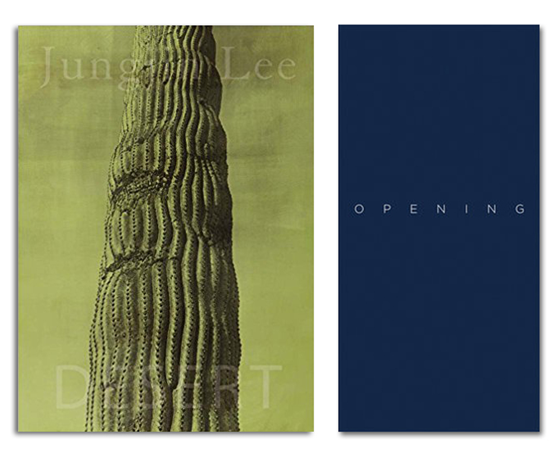 Jungjin Lee Book Signing at AIPAD