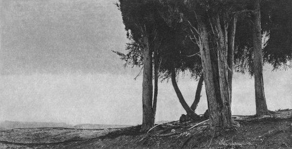 This Place at the Brooklyn Museum