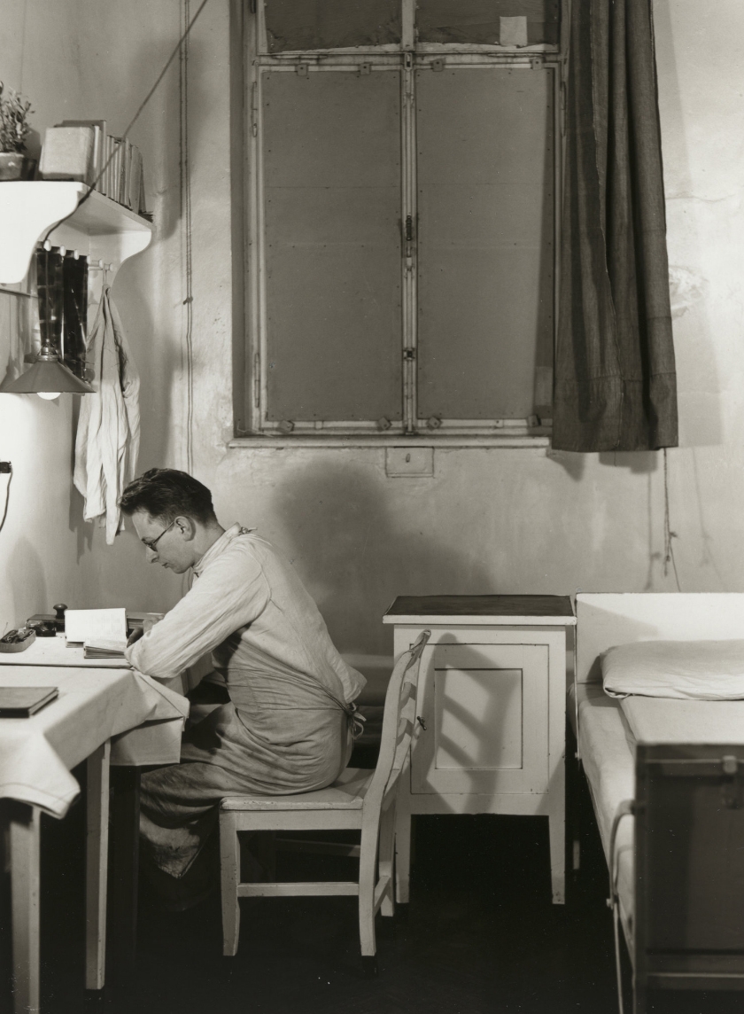 Recent Press (November 13-19)