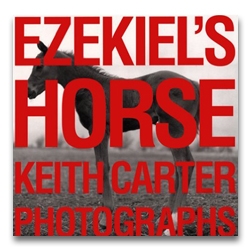 Keith Carter - Ezekiel's Horse - Howard Greenberg Gallery