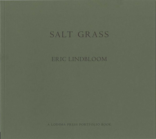 Eric Linbloom - salt grass - lodima press