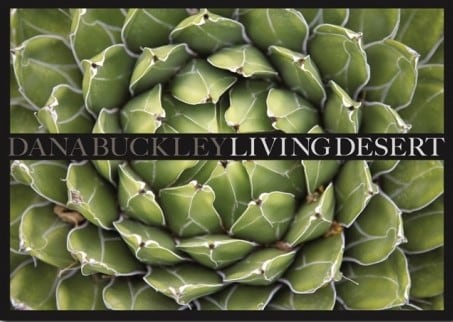 Dana Buckley - Living Desert - Howard Greenberg Gallery