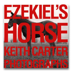 Keith Carter - Ezekiel's Horse - Howard Greenberg Gallery