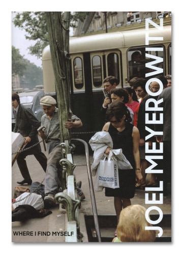 Joel Meyerowitz - Howard Greenberg Gallery - Laurence King - 2018