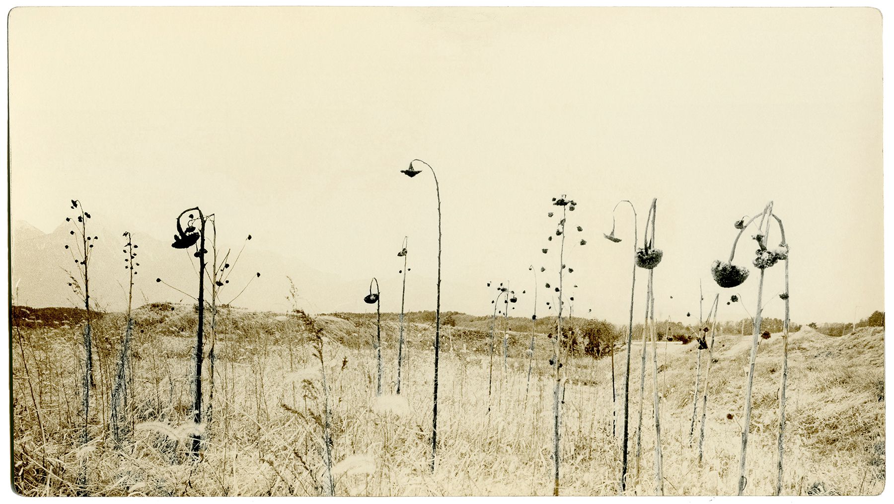 The Lingering Presence of the Ephemeral