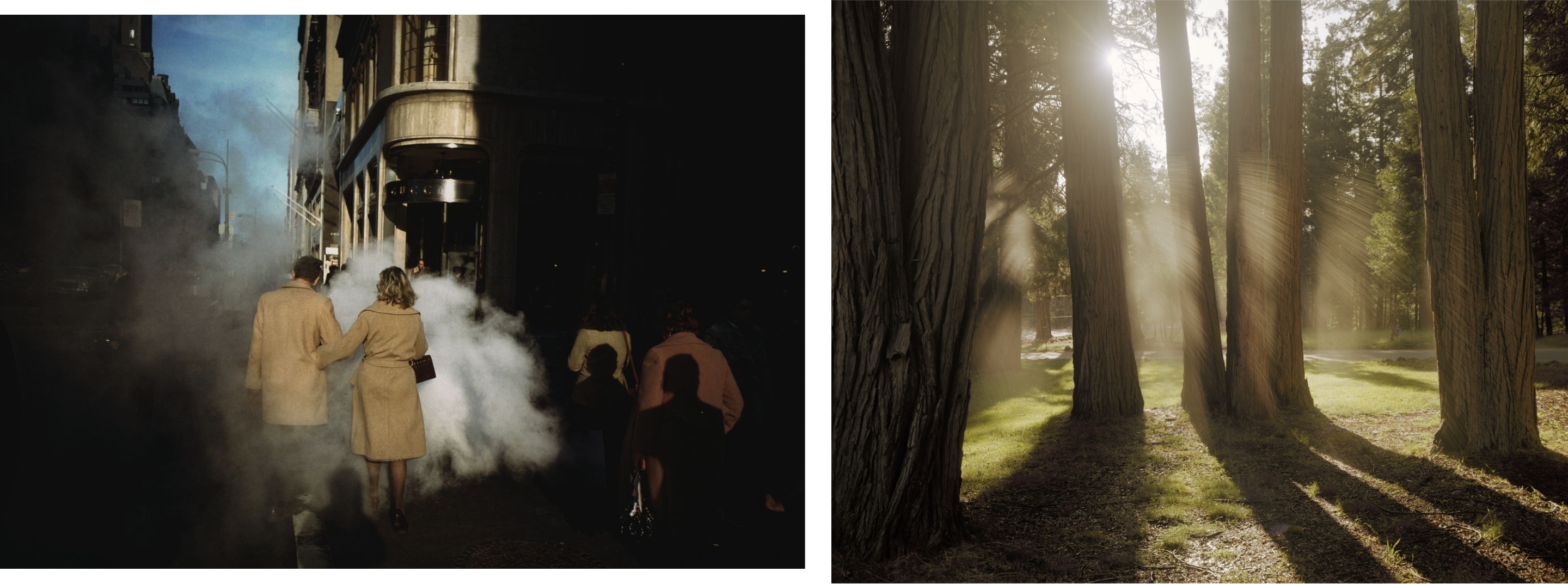 Left: "Camel Coats", New York City, 1975  Right: The Grove, Yosemite National Park, California, 1983